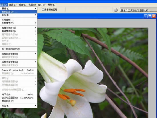 Photoshop处理数码照片的背景